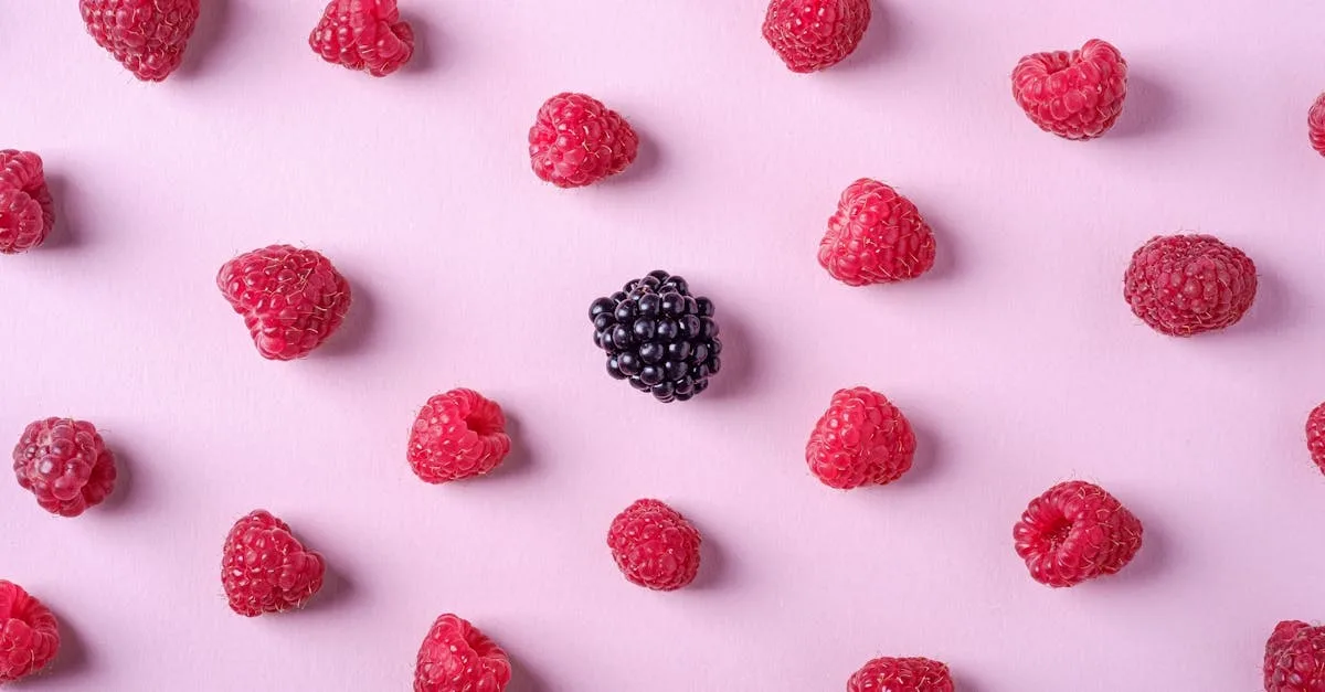 découvrez l'univers captivant de clara berry, une artiste au talent exceptionnel et à la créativité sans limites. plongez dans son parcours, ses œuvres inspirantes et son impact sur le monde artistique contemporain.