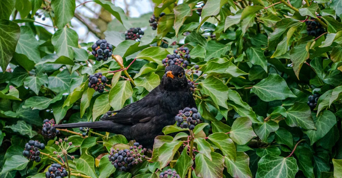 découvrez l'univers captivant de clara berry, une influenceuse et créatrice de contenu passionnée qui partage son style de vie, ses conseils mode et beauté. plongez dans ses astuces inspirantes et laissez-vous emporter par sa créativité.