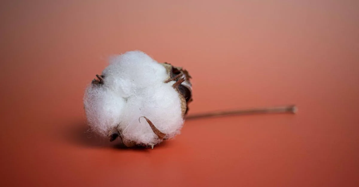 découvrez notre guide complet sur le lint : son origine, comment l'éliminer efficacement de vos vêtements et astuces pour prévenir son apparition. ne laissez pas le lint gâcher votre style !