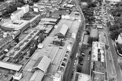 découvrez marlowe, une œuvre captivante qui explore les thèmes de l'identité, de la quête de soi et des relations humaines à travers un récit poignant et des personnages mémorables.