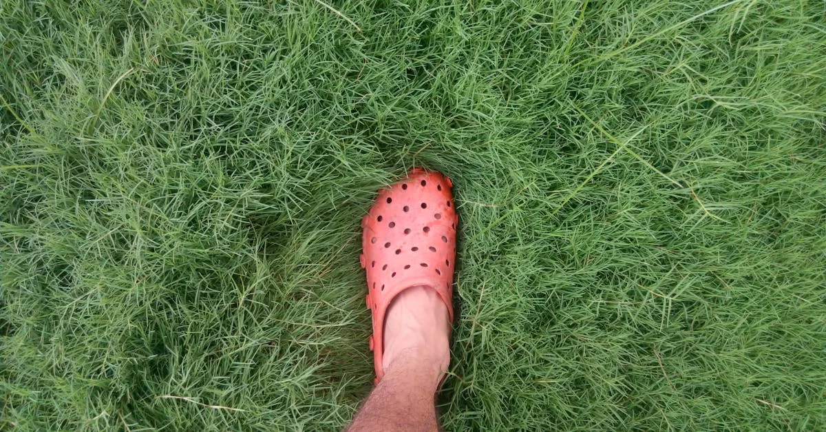 découvrez notre collection de sandales élégantes et confortables, parfaites pour l'été. style, qualité et confort se rencontrent pour vous offrir des modèles adaptés à toutes les occasions.