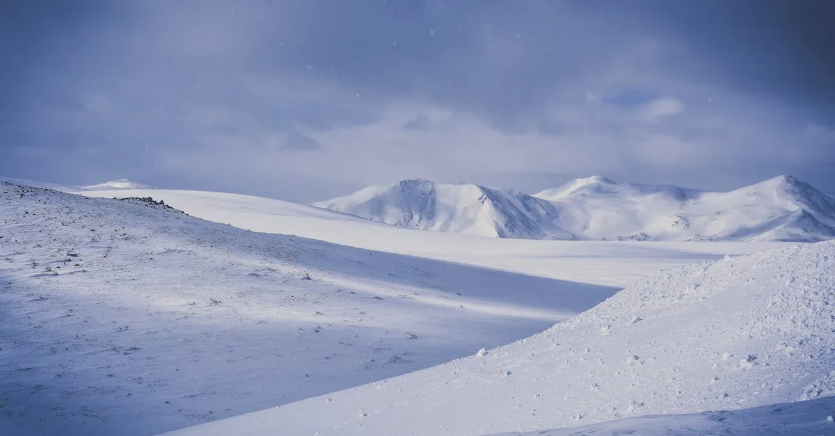 découvrez glacier blue, une palette de couleurs inspirée des nuances majestueuses des glaciers, alliant fraîcheur et élégance, parfaite pour vos projets de décoration et de design.