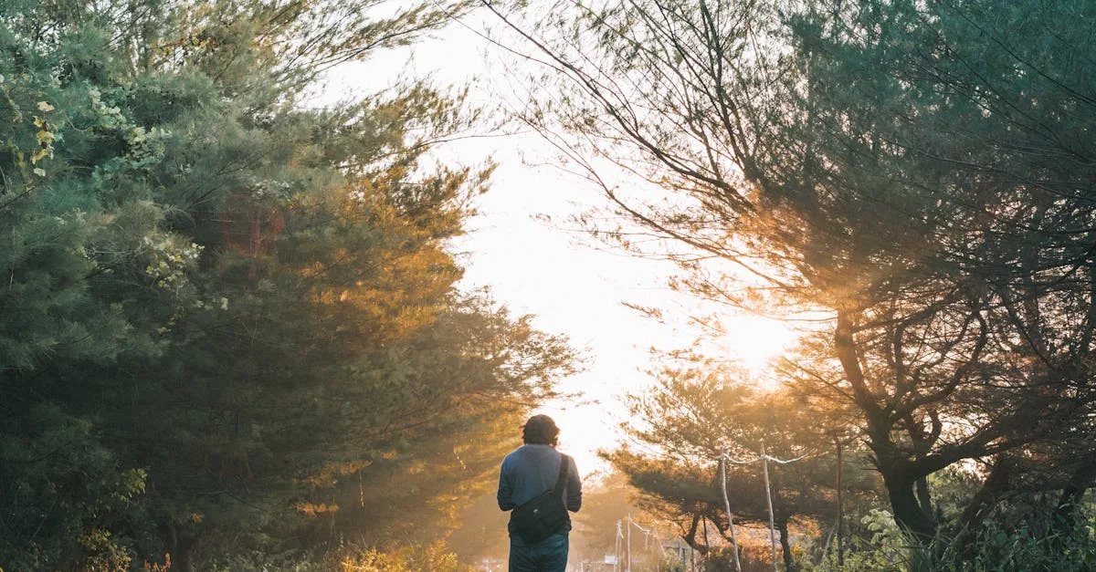 découvrez les bienfaits de la marche pour la santé physique et mentale. explorez des conseils pratiques, des itinéraires de randonnée uniques et des astuces pour intégrer la marche dans votre quotidien.