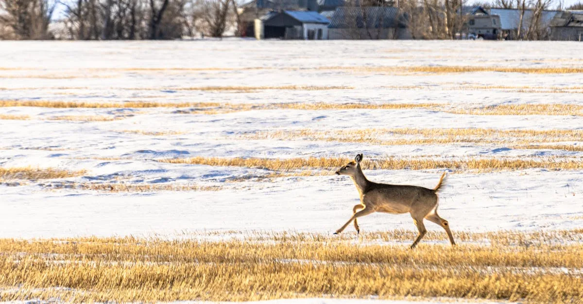 découvrez adrien fam, un talent émergent et créatif, passionné par l’innovation et les nouvelles technologies. suivez son parcours, ses projets, et ses inspirations.