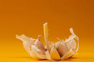 découvrez tout sur le clou de girofle, une épice aromatique aux multiples vertus culinaires et médicinales, idéale pour rehausser vos plats et améliorer votre bien-être.