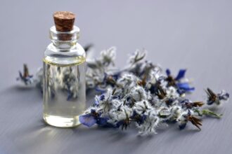 découvrez l'interdiction des huiles à haarlem, ses raisons et ses impacts environnementaux pour une ville plus durable.