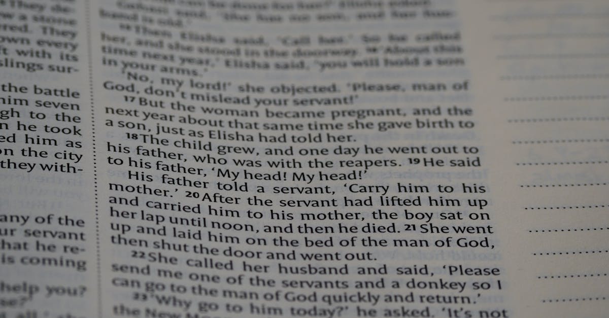 découvrez l'expérience immersive avec notre fonctionnalité plein écran, idéale pour profiter pleinement de vos vidéos, images et contenus interactifs sans distractions.