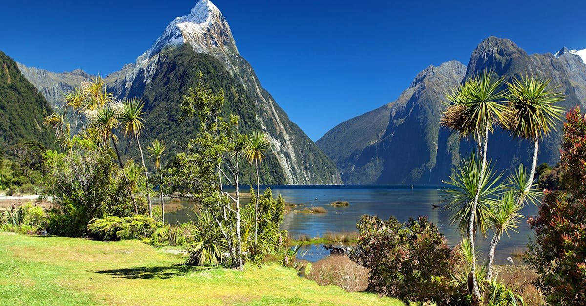 découvrez les dernières actualités nationales et internationales sur notre site d'information. restez informé en temps réel avec des articles fiables et précis.