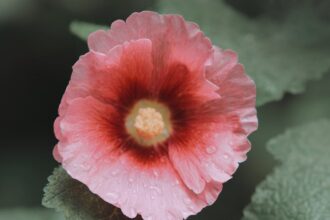 découvrez les dernières tendances et conseils en beauté pour sublimer votre style au quotidien.