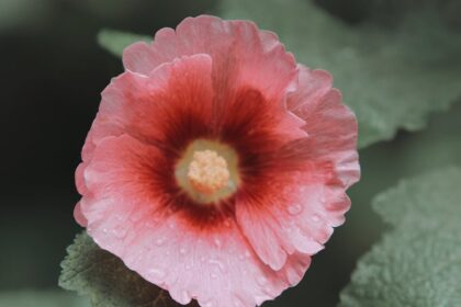 découvrez les dernières tendances et conseils en beauté pour sublimer votre style au quotidien.