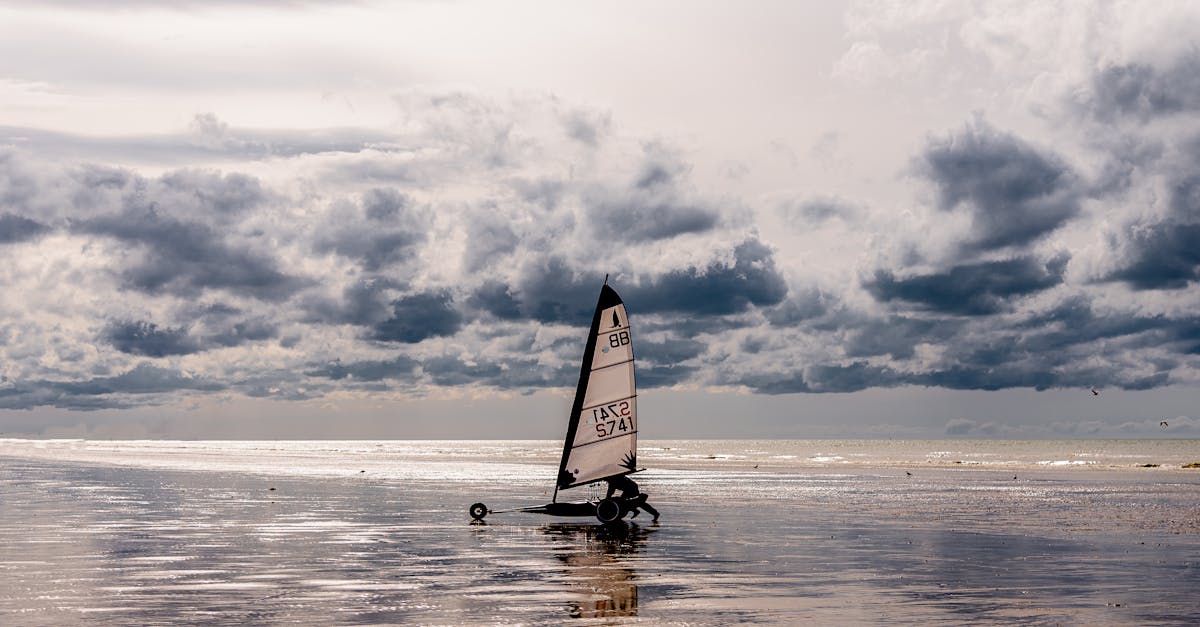 découvrez le land sailing, une activité de plein air passionnante qui combine la voile et la conduite sur terre. vivez des sensations uniques en glissant sur des terrains variés grâce à ce sport dynamique et accessible à tous.