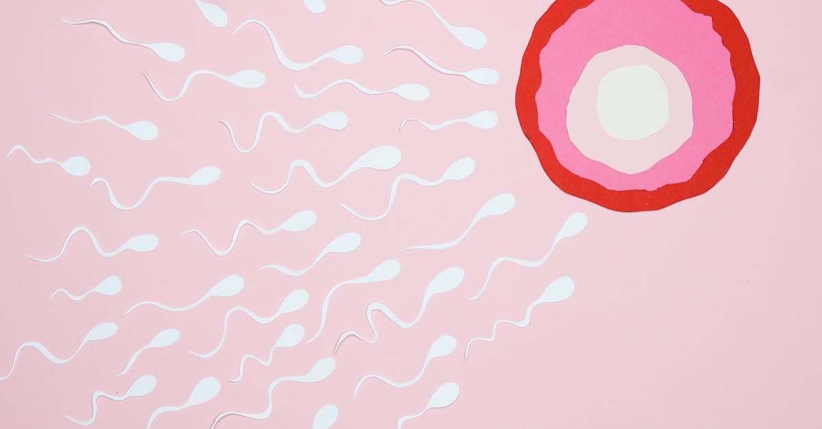 calculateur d'ovulation précis pour suivre votre cycle menstruel et déterminer vos jours fertiles afin d'optimiser vos chances de conception.