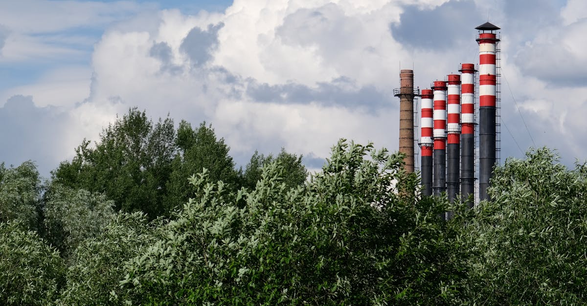 découvrez les réglementations environnementales essentielles pour protéger notre planète et assurer un développement durable.