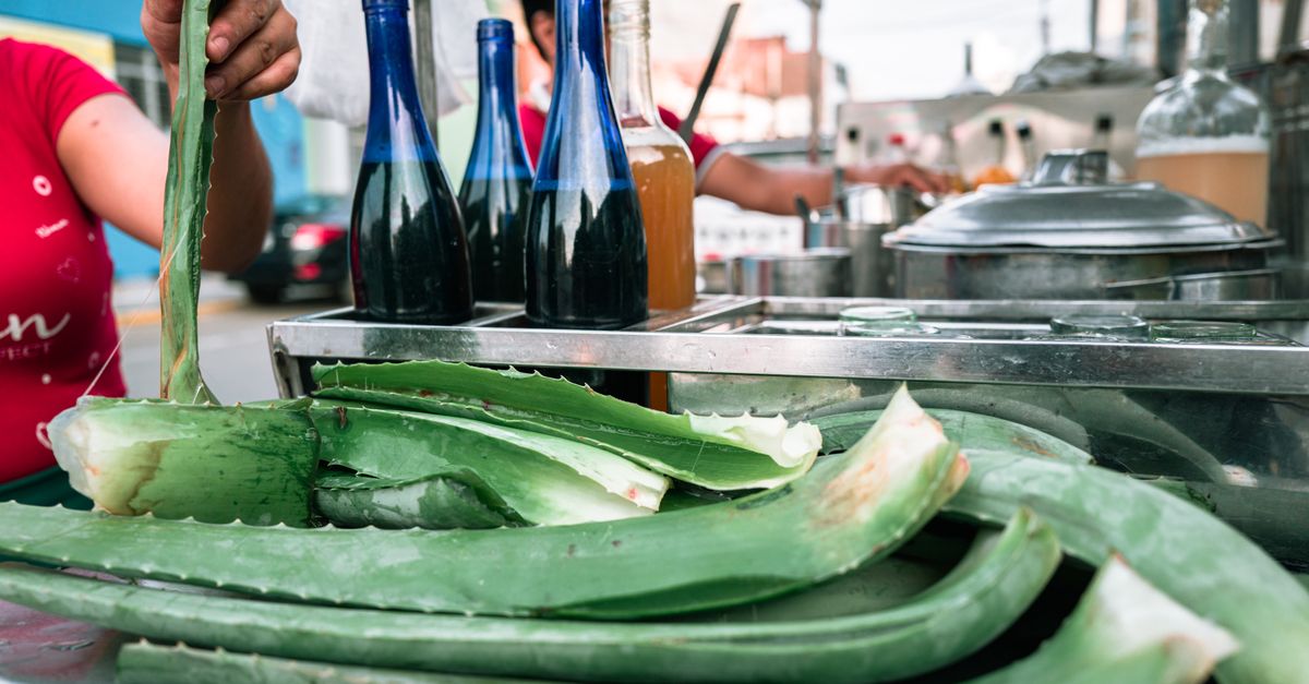 découvrez les bienfaits de l'aloe vera : hydratation, cicatrisation, propriétés apaisantes et revitalisantes pour la peau et la santé.