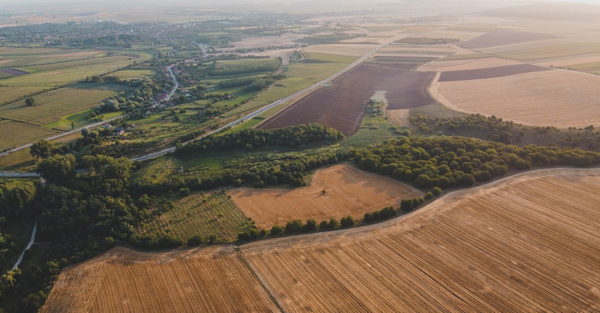 découvrez l'agriculture écologique, une méthode durable qui respecte l'environnement, favorise la biodiversité et promeut des pratiques naturelles pour une production saine et responsable.