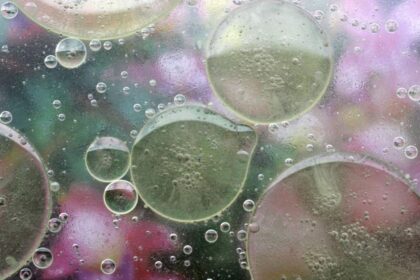 conseils et astuces pour prendre soin des cheveux gras, réduire l'excès de sébum et retrouver une chevelure saine et équilibrée.